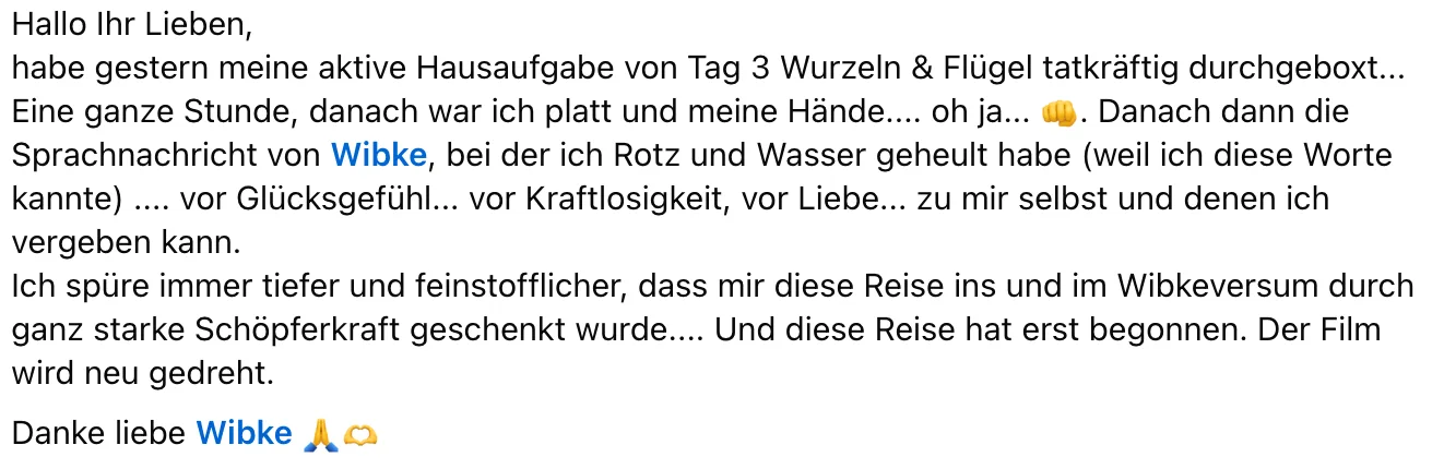Kundenstimme über emotionale Hausaufgabe und tiefe Transformation im Kurs
