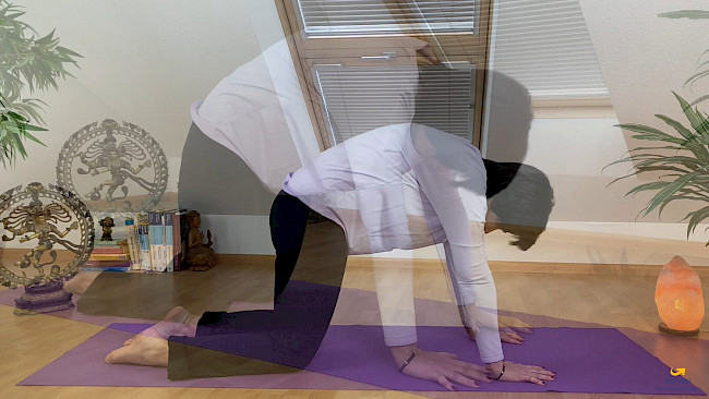Frau in Yoga-Bogenposition auf lila Matte, helles Studio mit Fenster, Pflanzen und Himalaya-Salzlampe sichtbar