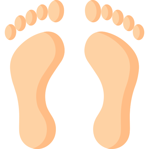Yoga für die Füße – Videokurs zur Fußgesundheit 5 Illustration of foot soles with toe points marked, anatomical diagram