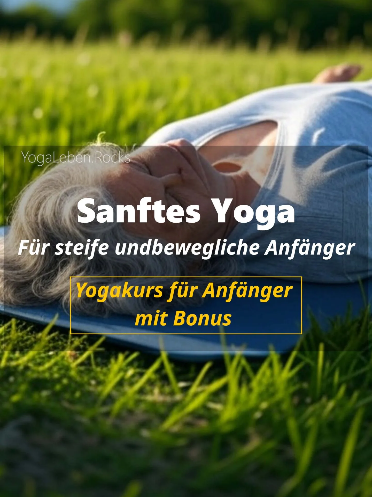 Kursvorschaubild