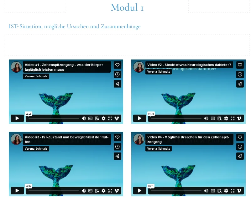 Modul 1 Übersicht mit vier Video-Thumbnails zu IST-Situation, neurologischen Hintergründen und Ursachen