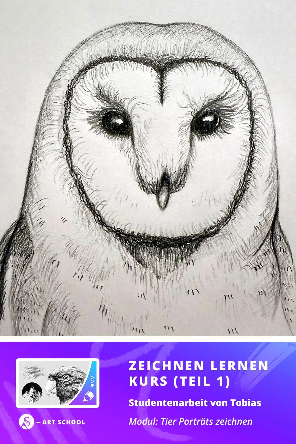 Bleistiftzeichnung einer Schleiereule mit ausdrucksstarken Augen, Studentenarbeit von Tobias