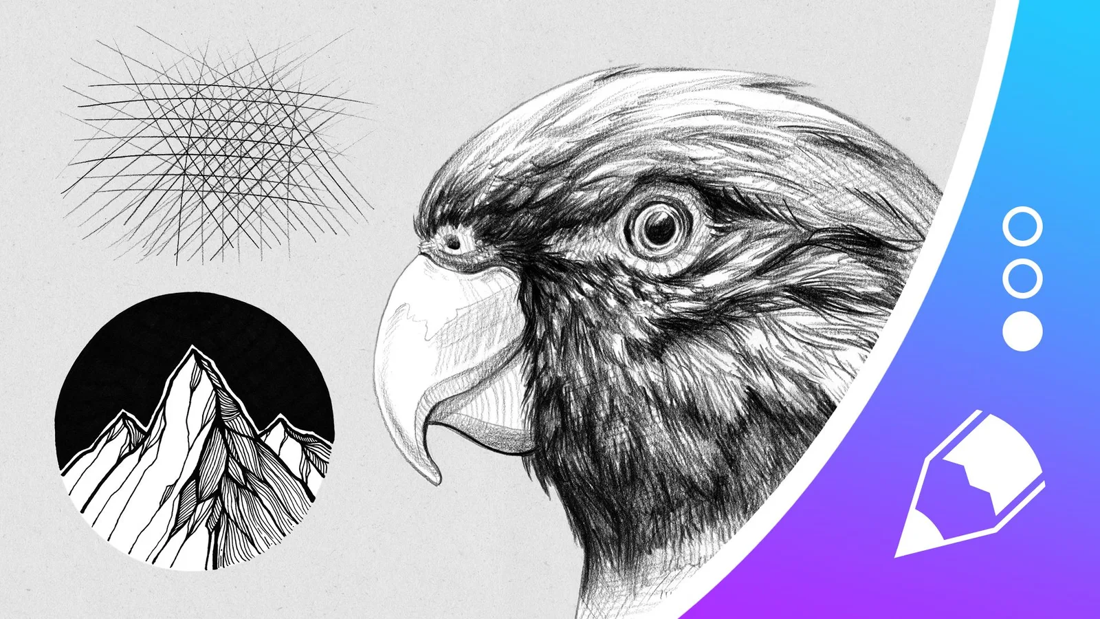 Hero-Bild für Zeichnen lernen Kurs zeigt Adlerkopf, Kreis-Scribble und Berg-Illustration mit Strichführungs-Techniken