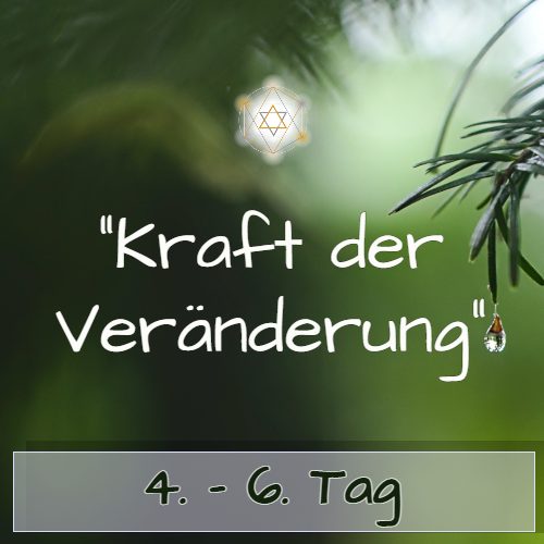 Zeitraum Tag 4-6 Modul mit Sternsymbol auf grünem Hintergrund