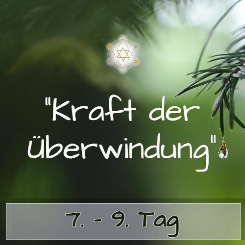 Zeitraum Tag 7-9 Modul mit Sternsymbol auf grünem Hintergrund