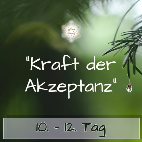Zeitraum Tag 10-12 Modul mit Sternsymbol auf grünem Hintergrund
