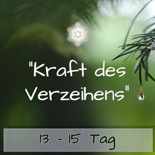Zeitraum Tag 13-15 Modul mit Sternsymbol auf grünem Hintergrund