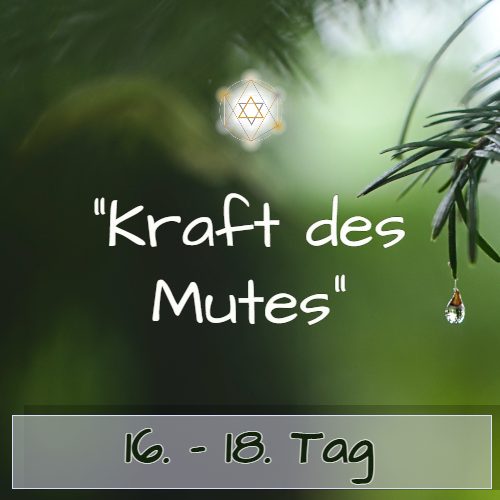 Zeitraum Tag 16-18 Modul mit Sternsymbol auf grünem Hintergrund