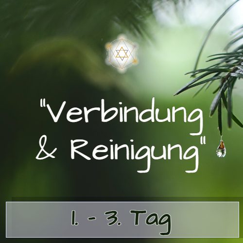 Zeitraum Tag 1-3 Modul mit Sternsymbol auf grünem Hintergrund