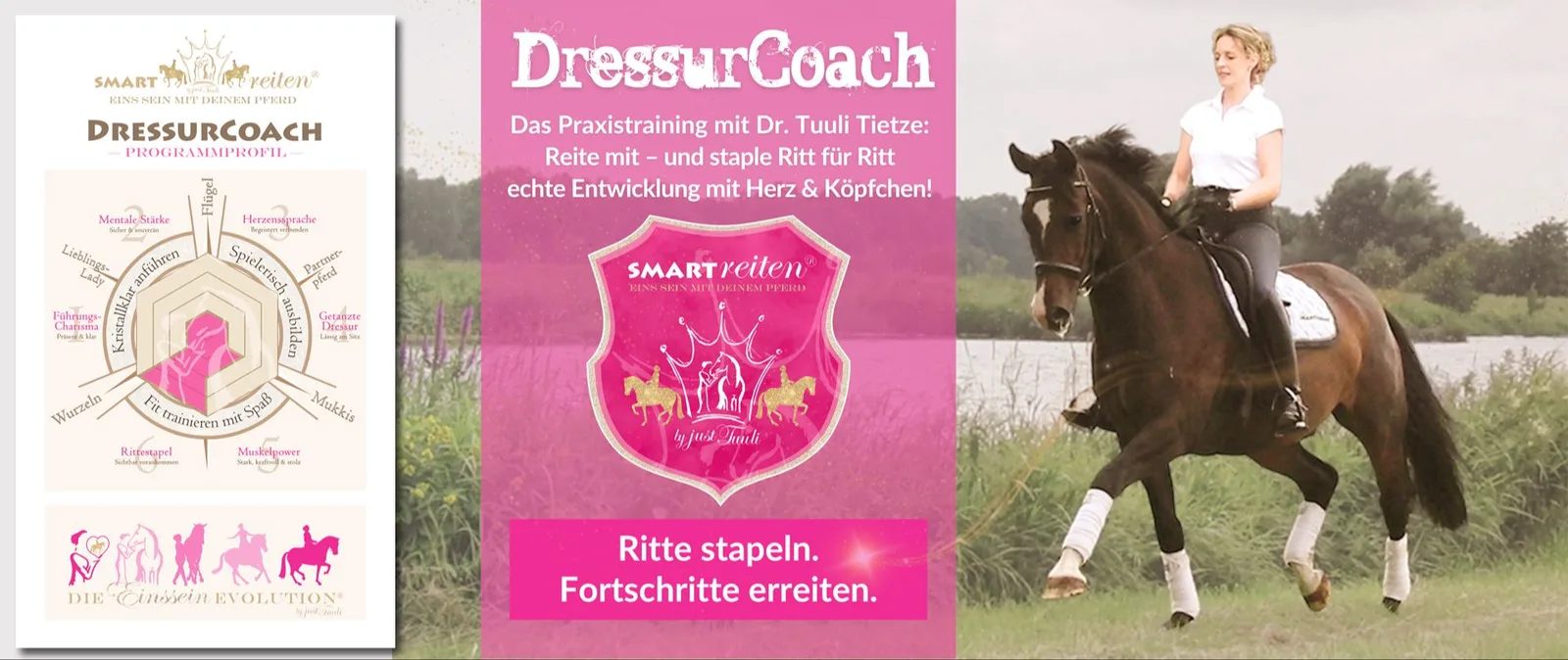 DressurCoach Programmprofil mit Kreis-Diagramm und Reiterin auf Pferd