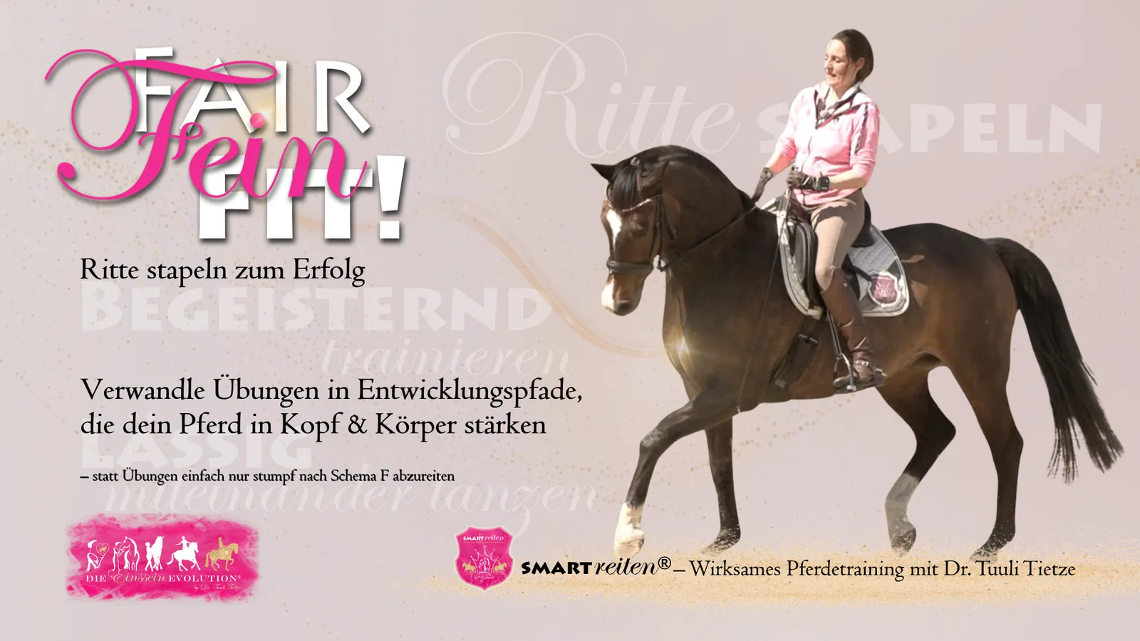 Fair Fein Fit Cover mit Reiterin auf braunem Pferd