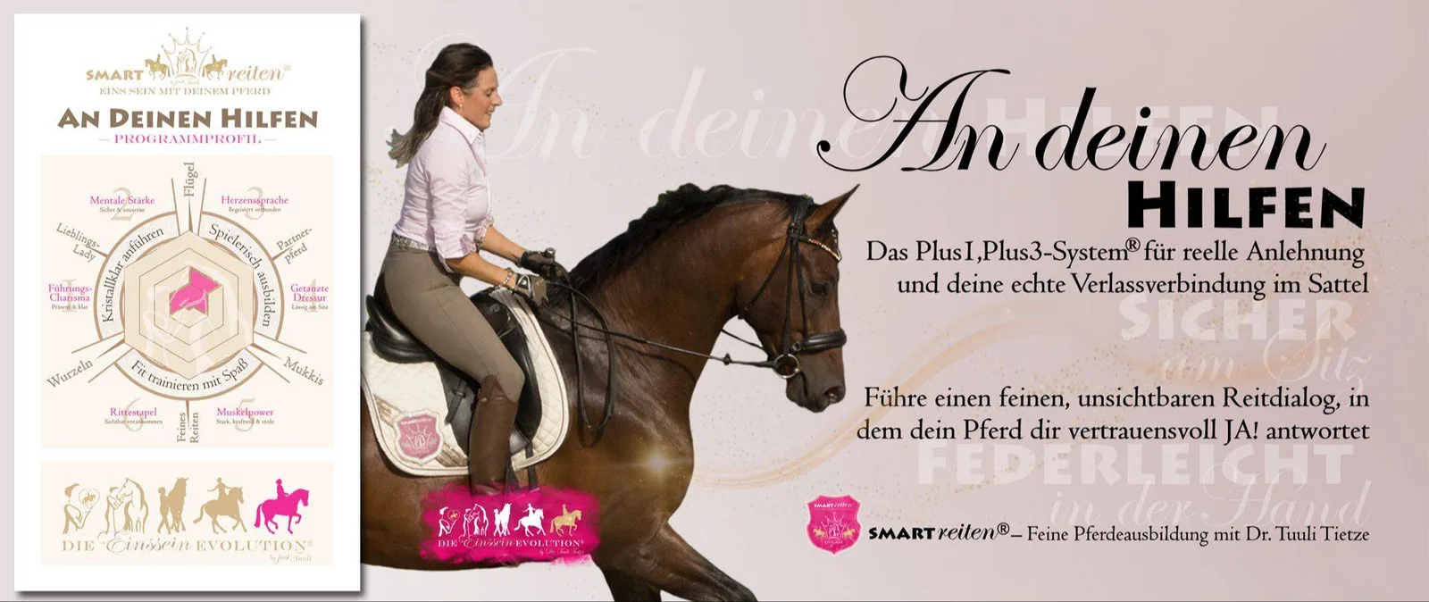 Cover An deinen Hilfen: Frau im Profil auf schwarzem Pferd mit Hilfen-Grafik