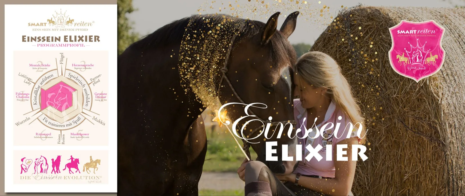 Cover Einssein Elixier Programmprofil mit Frau und Pferd und Goldglitter-Effekt