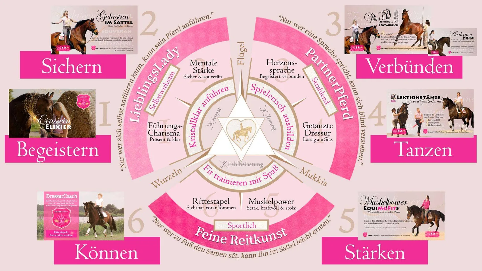 Infografik SMARTreiten Einssein mit zentralem Pferdesymbol und acht Trainingsbereichen in rosa