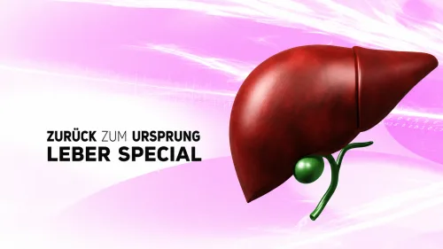 Zurück zum Ursprung: Leber Special – Videokurs zur Leberentgiftung 1 Leber Special Produktabbildung mit stilisierter Leber und grünem Organ auf rosa Hintergrund