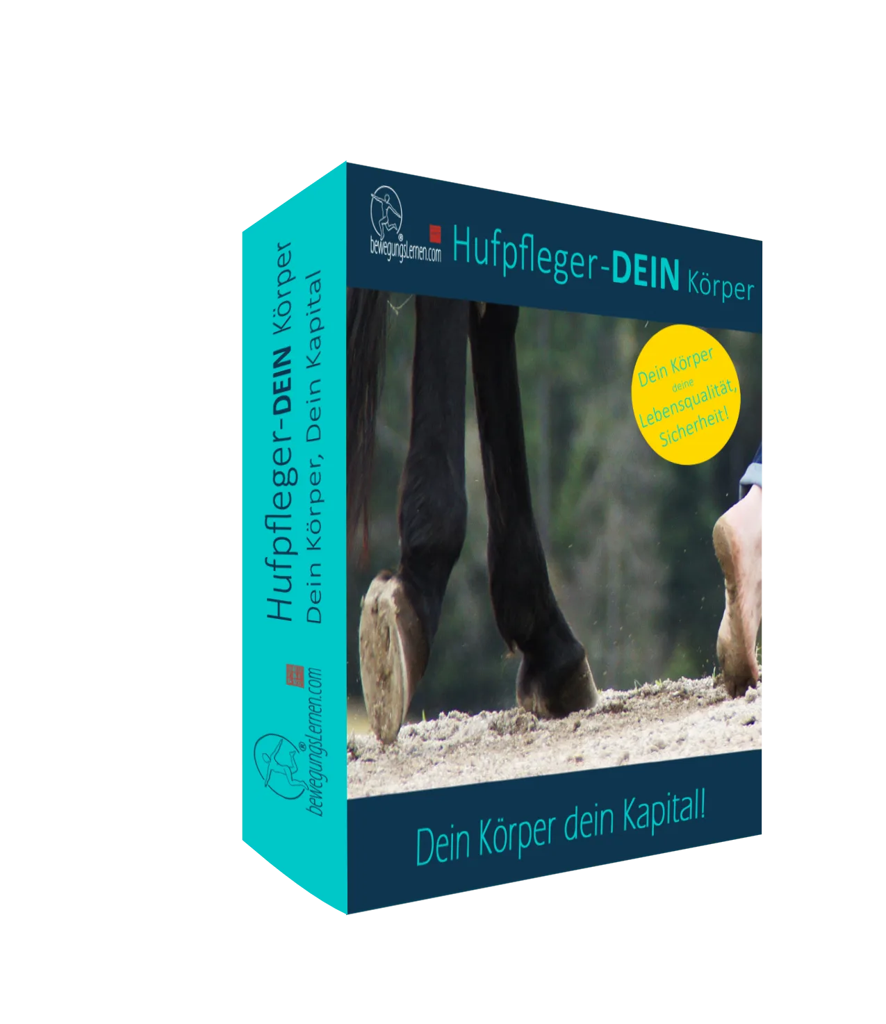 Zwerchfellintegration am Pferd – Videokurs zur Atemkörperarbeit 6 Produktbox Hufpfleger-DEIN Körper von BewegungsLernen.com mit Pferdehufen im Sand