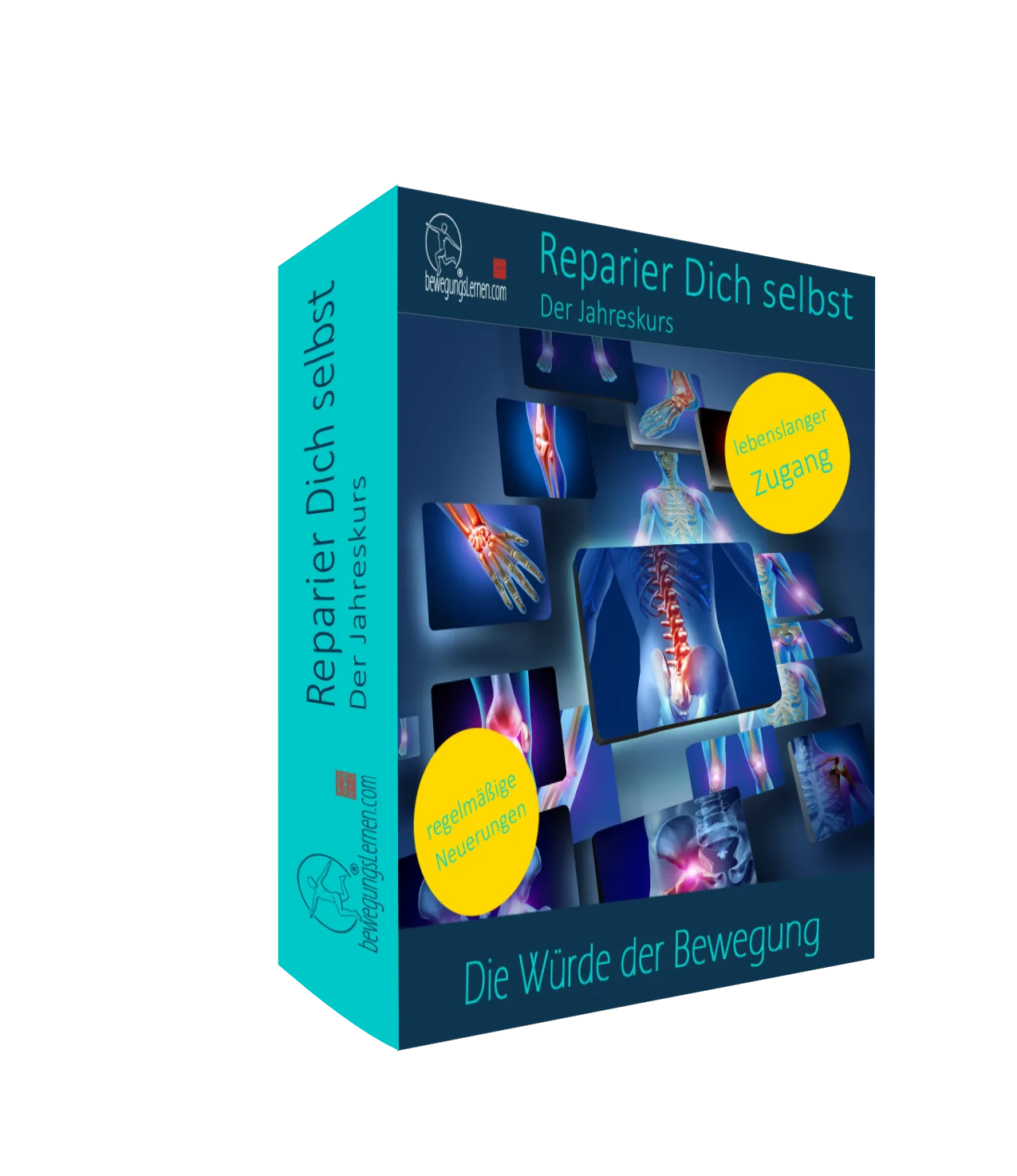 Zwerchfellintegration am Pferd – Videokurs zur Atemkörperarbeit 1 Produktbox Reparier Dich selbst – Der Jahreskurs mit anatomischen Bildern und Energievisualisierungen