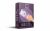 500€ CashSystem – Kurs von Said Shiripour