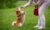 Clickertraining mit Hund – Onlinekurs mit Antje Hebel