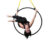 Aerial Hoop – Videokurs für Reifenakrobatik