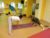 Autonomes Nervensystem & Yoga – Hintergründe & Übungen