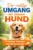 Der richtige Umgang mit deinem Hund
