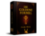 Die goldene Formel + Perpetuum Protokoll – Geld-Mindset-Kurspaket