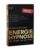 EnergieHypnose – Buch über Hypnose und Energiearbeit von Herta Gstir