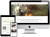 Entspannt mit Artgenossen – Live-Online-Kurs mit Antje Hebel