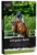 Erfolgreich Reiten – Mentaltraining-E-Book für Reiter von Marco Müller