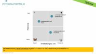 Fertige Key Account Plan Vorlagen - Hartmut Sieck 22 image
