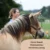 Horse Speak Basis – Onlineseminar zur Pferdesprache von Kirsti Ludwig