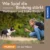 Hundebegegnungen an der Leine – Webinar für Hundehalter