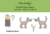 Hundebegegnungen verstehen und verändern – Videokurs Hundetraining