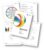 Insights Discovery Analyse – Coaching für Führungskräfte