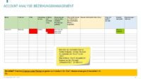 Fertige Key Account Plan Vorlagen - Hartmut Sieck 8 image