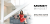 Money Manifestation Mindset Online Kurs – Alina Pom
