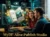 MyDF-Alive Publish Studio – KI-Software zum Publizieren