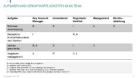 Fertige Key Account Plan Vorlagen - Hartmut Sieck 27 image