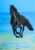 Patience & Resilience Energy Horse – PDF-Energiebild für Ruhe