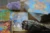 Tarot-Konstellation – Einzelcoaching mit Tarot