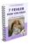 Soulmate Finder – Coaching Partnerwahl