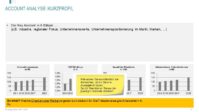 Fertige Key Account Plan Vorlagen - Hartmut Sieck 2 image