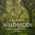 Waldbaden und Naturtherapie – Online-Ausbildung