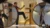 Wing Chun Kung Fu online lernen von Kung Fu Store (kungfustore.de)
